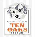 Ten Oaks Doodles logo